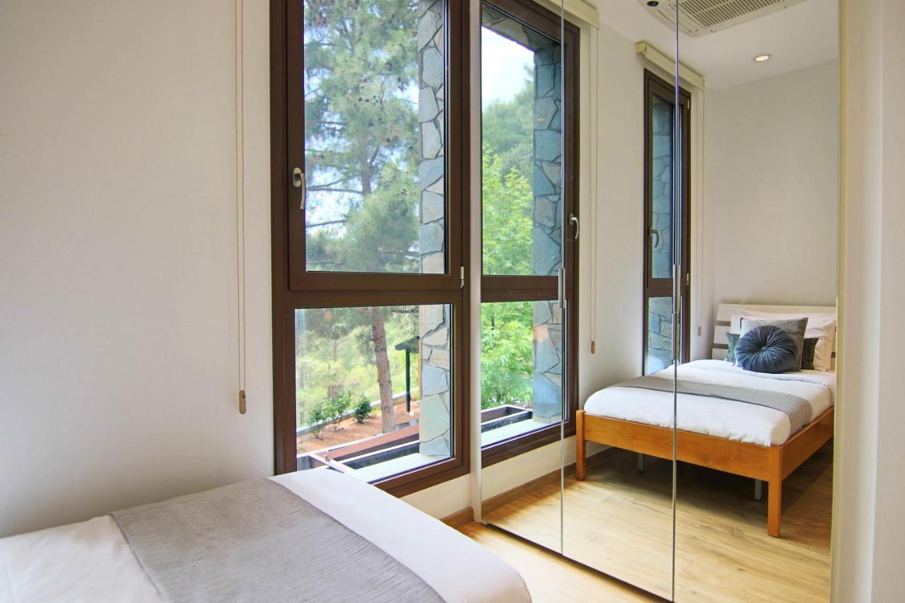 Phaedrus Living: Forest View Luxury Villa Chantara Foini Zewnętrze zdjęcie
