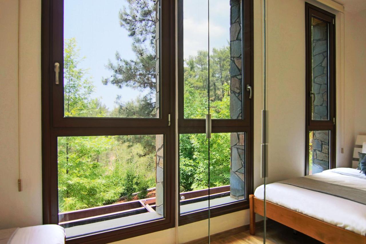 Phaedrus Living: Forest View Luxury Villa Chantara Foini Zewnętrze zdjęcie
